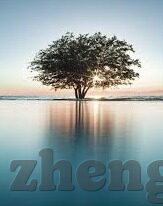 大象传媒短视频在线观看-探索大象传媒短视频的在线观看体验