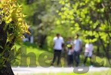 国产剧情视频一区二区麻豆-国产剧情视频的多元化探索，一区二区与麻豆的启示
