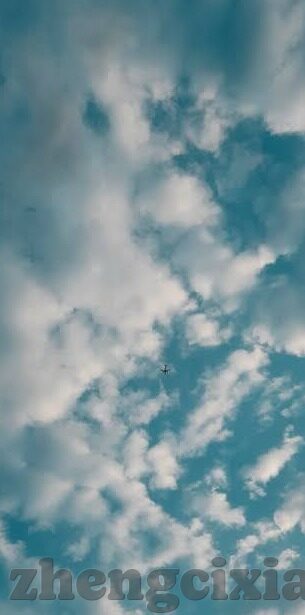 在线观看,日韩AV综合-探索日韩AV综合的在线观看体验，文化、伦理与个人选择的边界